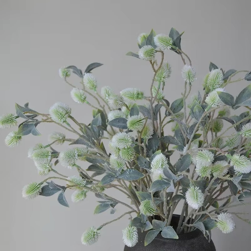 BOTANICA Dekorationsväxt