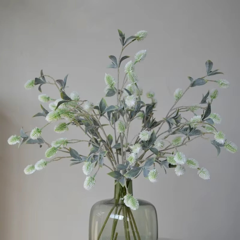 BOTANICA Dekorationsväxt